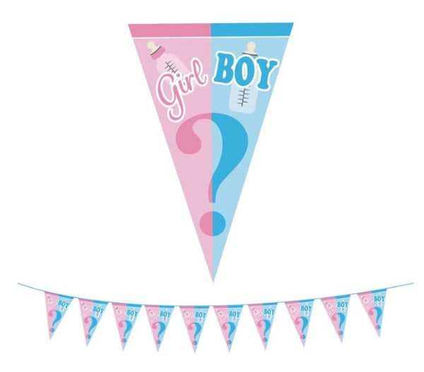 Gender reveal banner