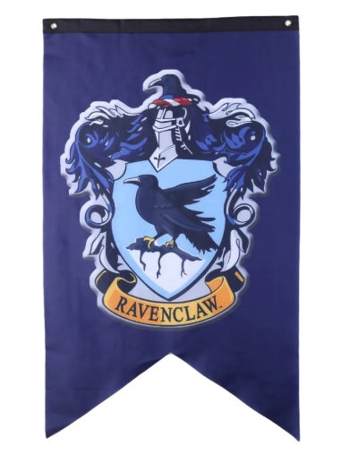 Wizard Class banner - Raven