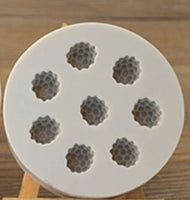 Raspberry silicon mould
