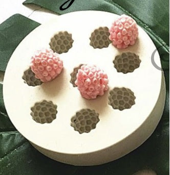 Raspberry silicon mould